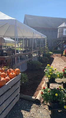 Patio eating area