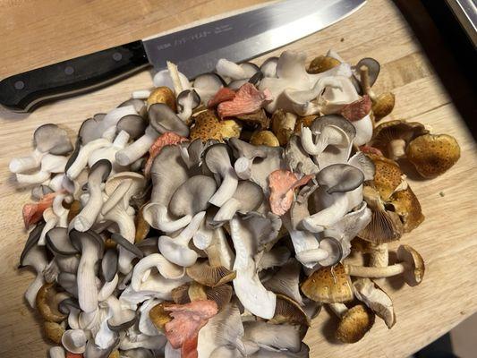 A mushroom medley of king blue oysters, pink oysters, white elm oysters and chestnuts. All fresh and local from Mycēl Mushrooms