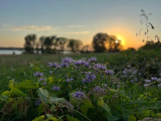 Prairie Flower Recreation Area