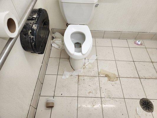 Look how nasty the floor is. And how many times have they taped the toilet paper dispenser to keep it closed? What a rat hole.