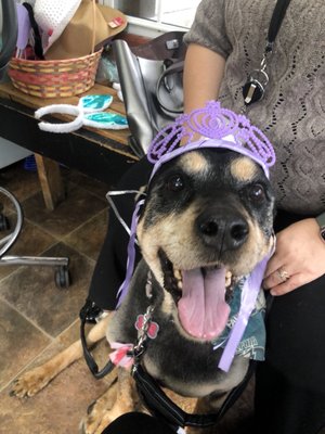 Bella with one of the props they have for photos in the waiting area