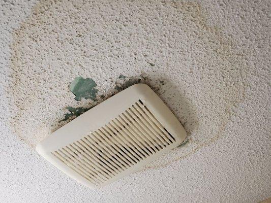 Leaking ceilings room 102, 4/8/2024.