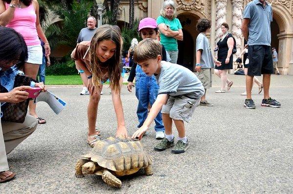 Turtle & Tortoise Society of SD