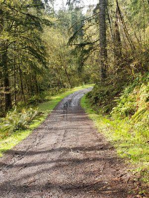 Lovely road to the hiking trails.