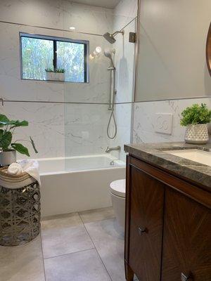 Guest bathe remodel - hinged shower panel