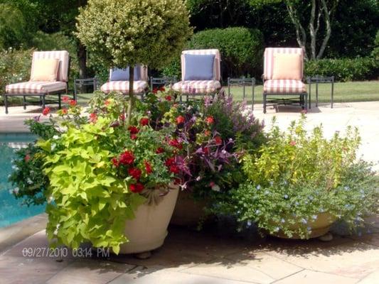 Planters to add color and beauty to any space