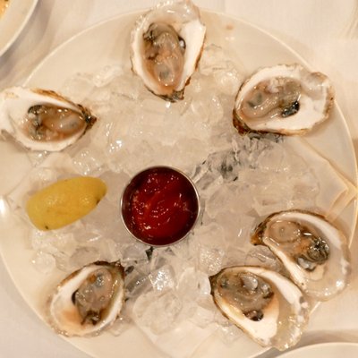 Oysters