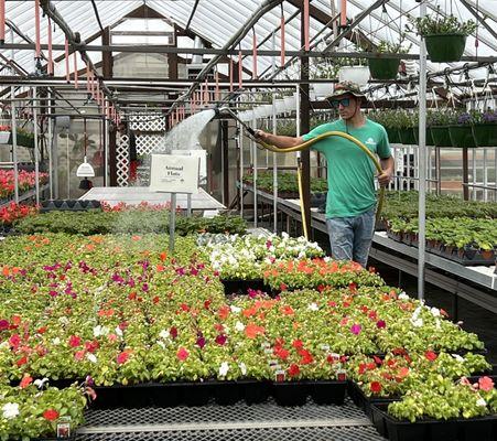 Inside Greenhouse #3