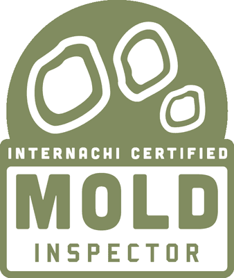 Mold Inspections in Kansas City