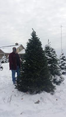 To give you an idea of various size, my husband is 6'5" standing next to this tree.