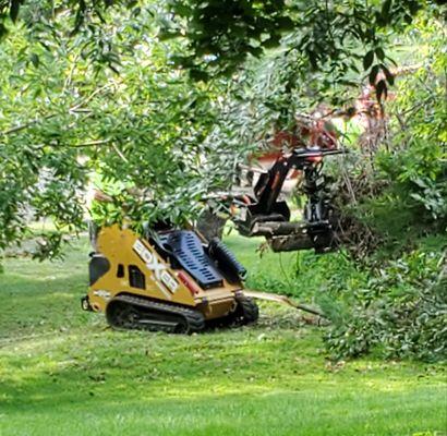 Smith's Tree Service