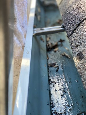 Gutter Cleaning