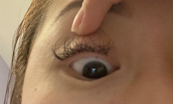 How the lashes naturally end up being when not brushed