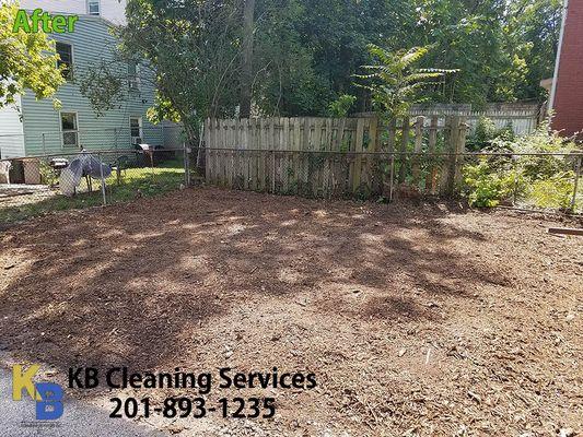 Yard Cleaning in Montclair- After