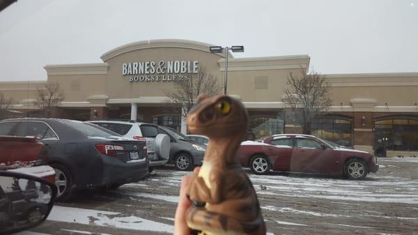 Bob the Raptor Says "This is Barnes and Noble. Mammals come here to get movies, music and reading paper."