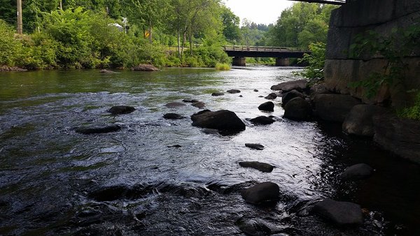 A babbling brook basically across the street from the Inn