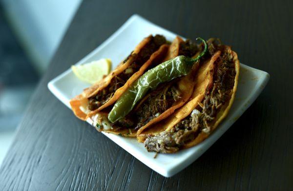 Tacos Dorados de Birria