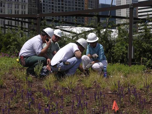 Terry working with Contractors in the Field at the Lurie Garden