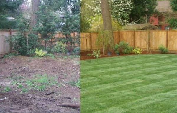 Lawn install - before and after