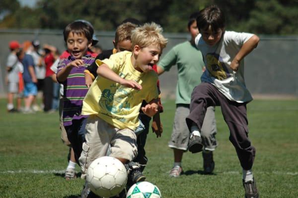 Cal Rec Sports Youth and Outdoor Programs