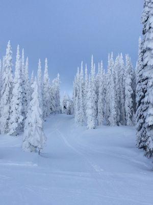 Stillwater Mountain Lodge