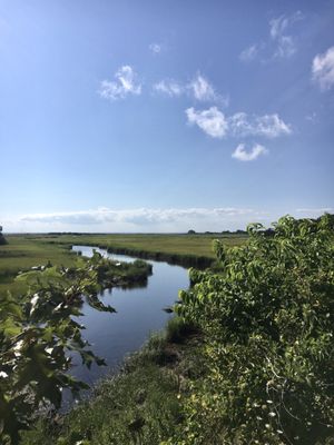 Marshlands