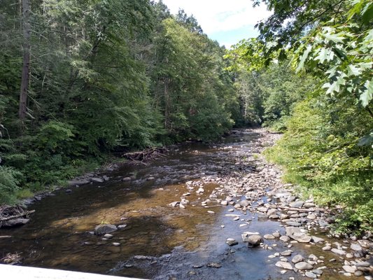 Shepaug River. View from the bridge.