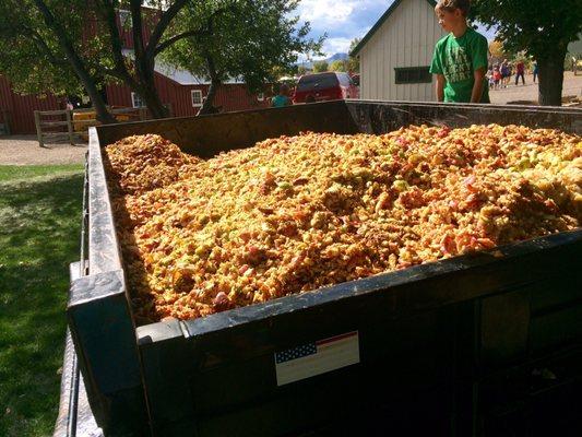 Apple pressing... what's left