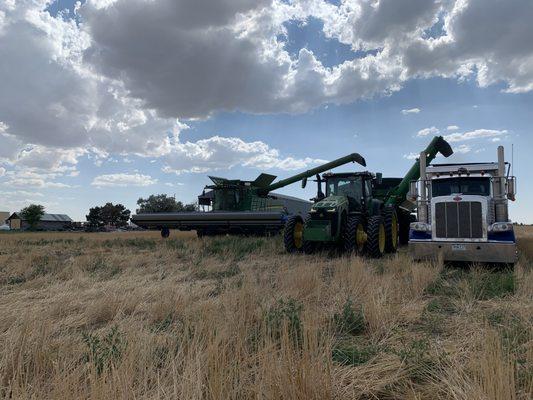 Experience a day in the life of a farmer during harvest!