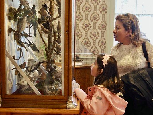 A woman and girl looking at taxidermy specimens in the Edwin Carter Museum in Breckenridge.