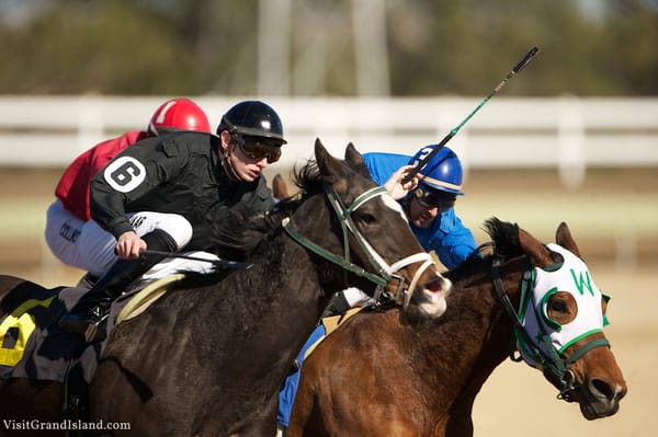 Fonner Park has hosted live thoroughbred horse racing for more than 60 years.