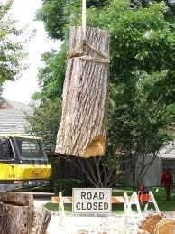 Tree Removal