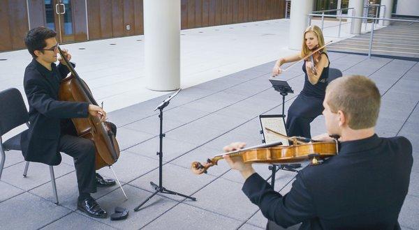 EdgeWire Music provides string quartet, trio, duo, and solos in Columbia SC, Charleston SC, Greenville SC, NC, and GA. edgewiremusic.com