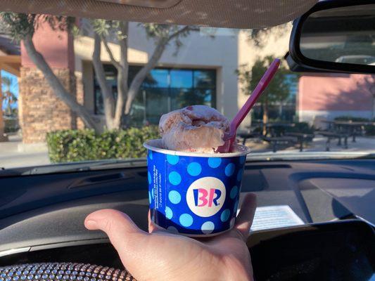 When the wind is up you can always eat your ice cream in the car.