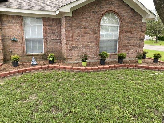 Planting some small bushes and roses at a customer in Mansfield Tx