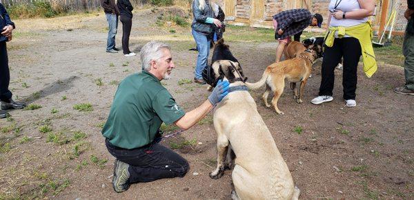 Alaska Dog Boarding & Training