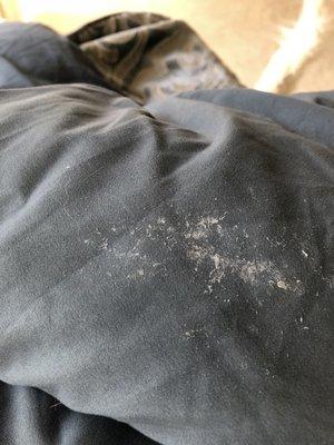 White stains and hairs all over my comforter!