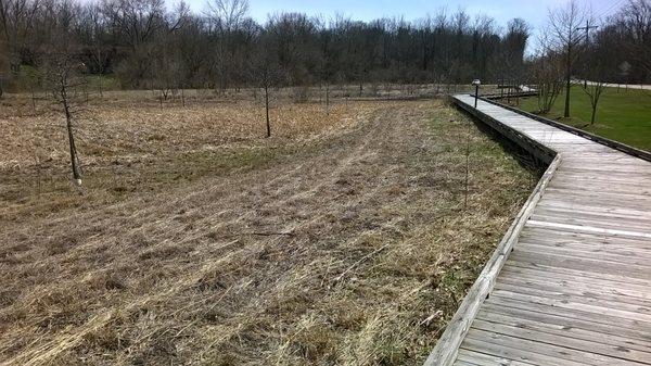 elevated boardwalk to help keep your feet dry