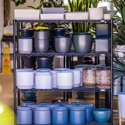 A variety of matte indoor pots.