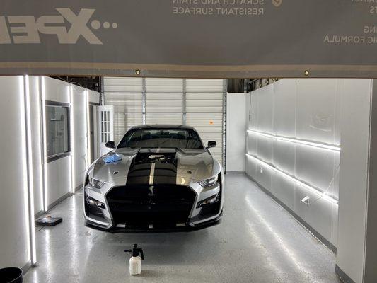 2020 GT500 Full Front XPEL PPF + XPEL Fusion Plus Ceramic