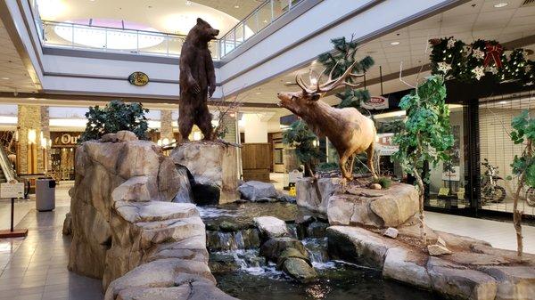 Wildlife display in the mall's concourse.