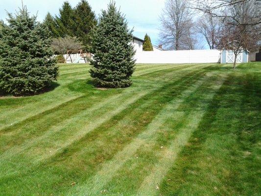 Akron Canton Ohio Lawn Care