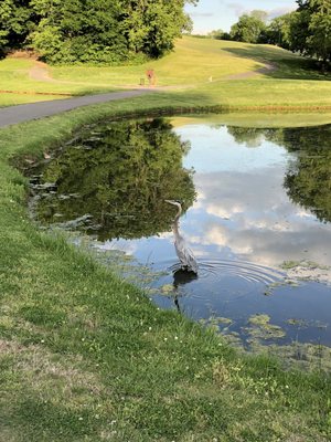 Country Hills Golf Course