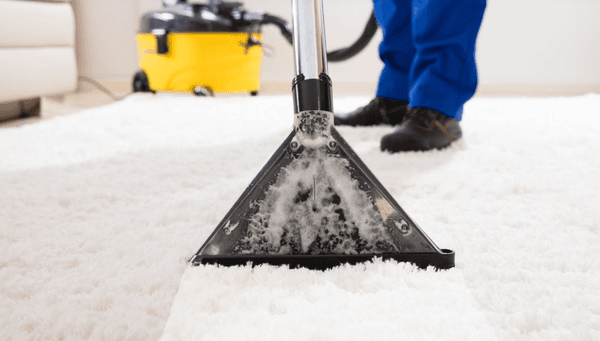 Andres Professional Services (689) 222-9182 Carpet Cleaning