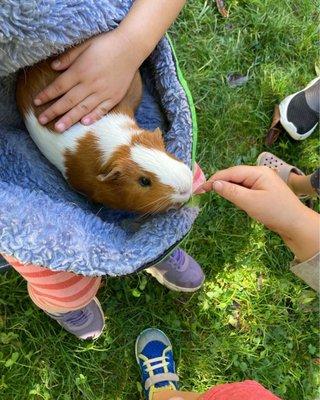 Our friend Pumpkin receiving gentle care from PNS kids