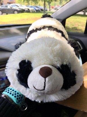 Panda!