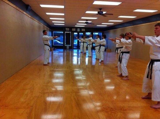 Goju-Ryu seminar in Kent, Washington.