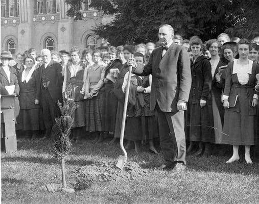 The original San Jose Our City Forest!  SJSU OCLC 707983508