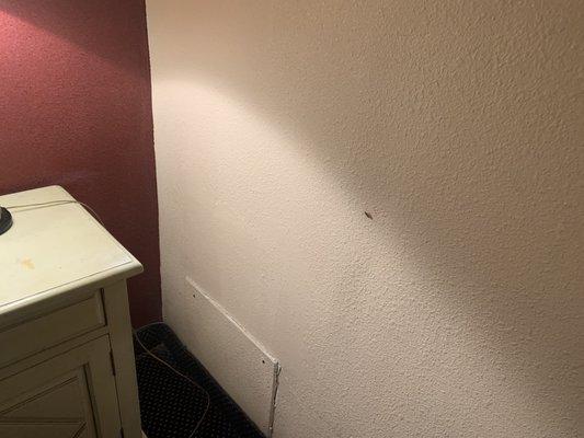 Roaches coming from the carpet "baseboards" and outlets