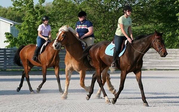 Sunburst Horsemanship School